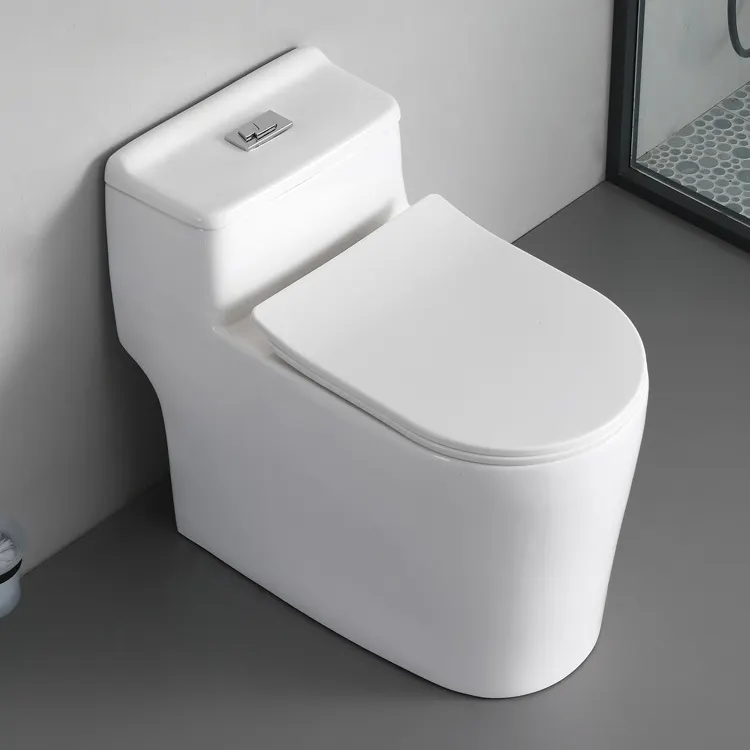 Inodoro Sanitary Ware Water Closet Siphonic Flush One Piece Toilet wc Ceramic Toilet Floor Mounted bathroom toilet bowl set