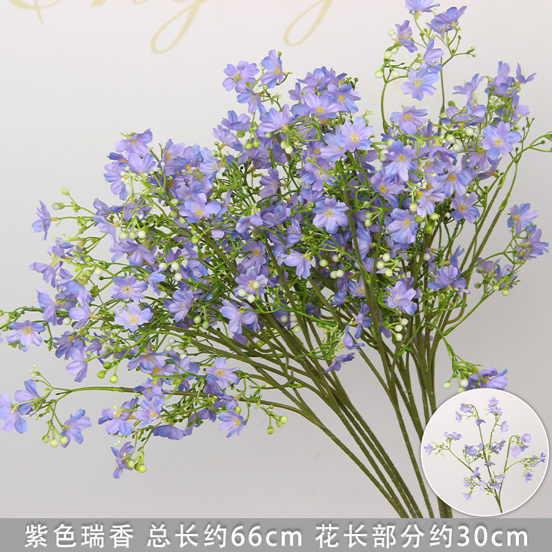 Branche de Daphné violette