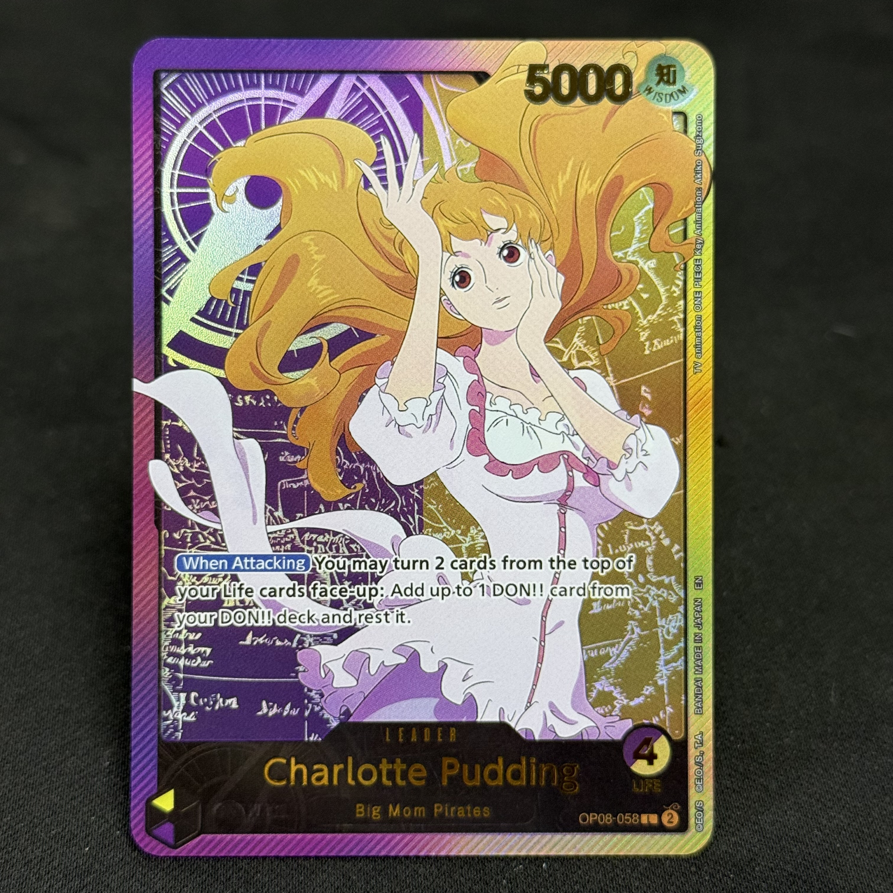 Pudding op08-058