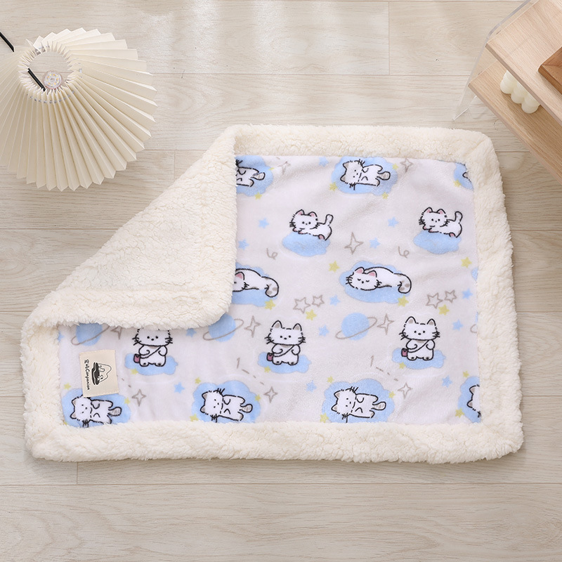Chat planète blanche
