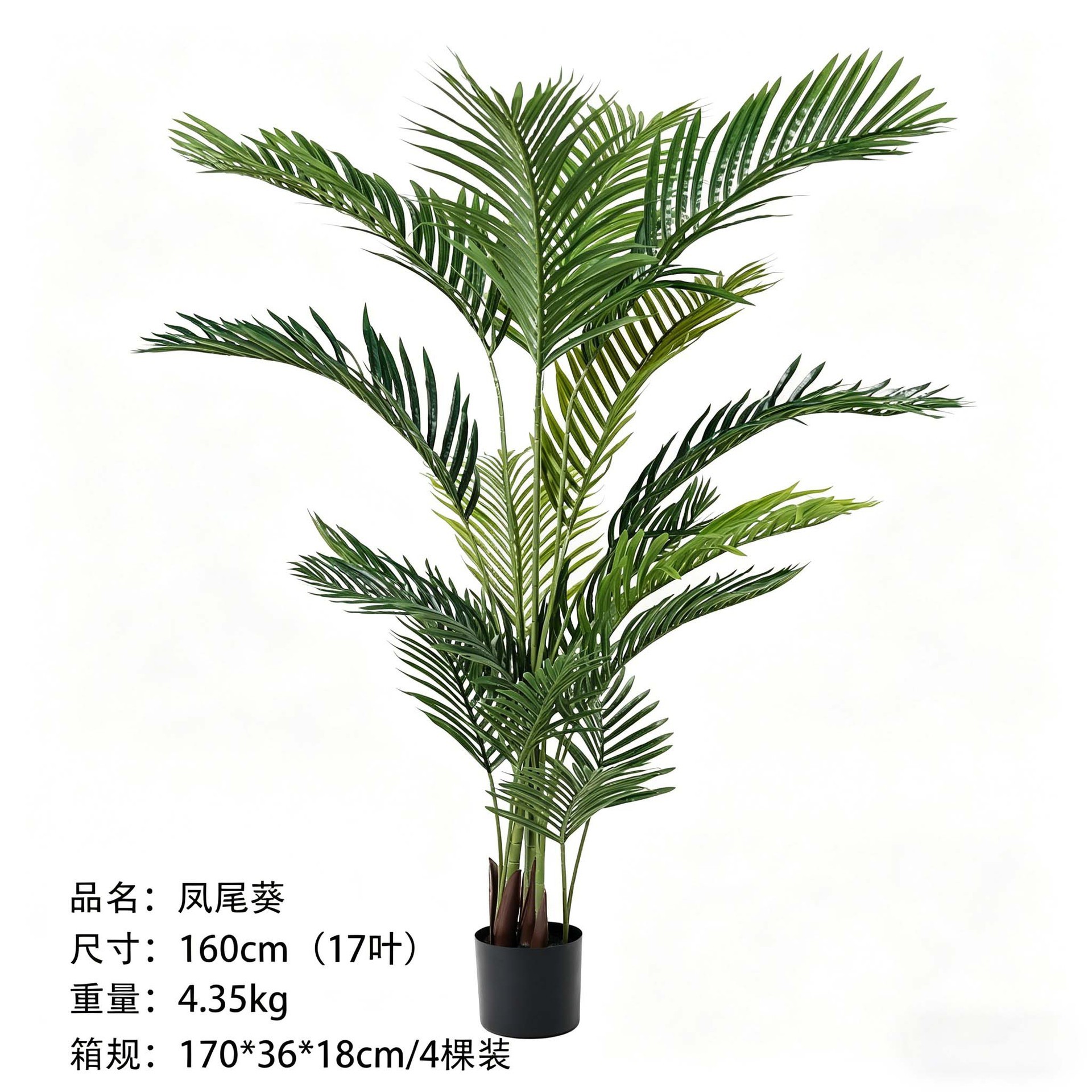 Palma Phoenix 160 cm - 17 foglie