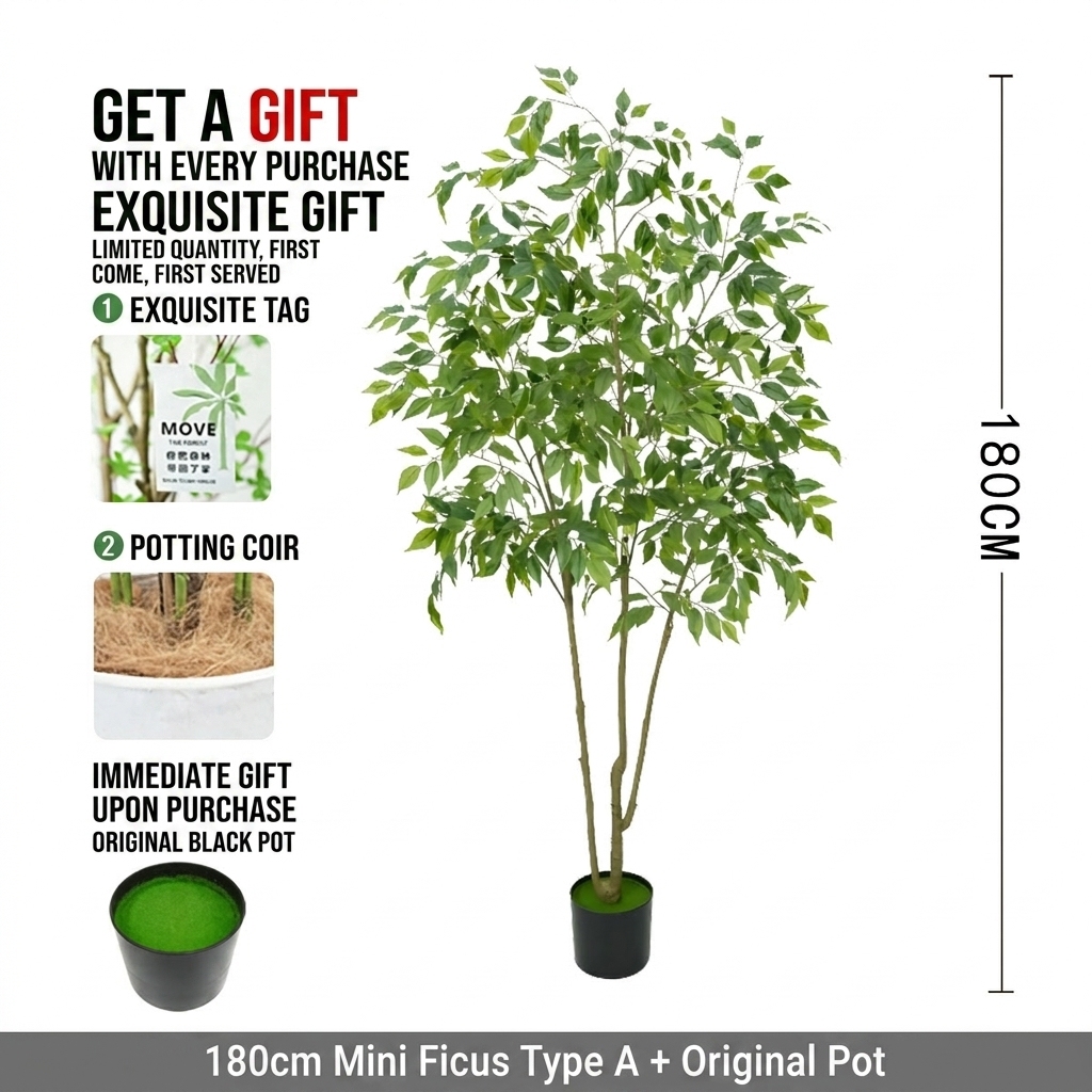 180cm Banyan Tree