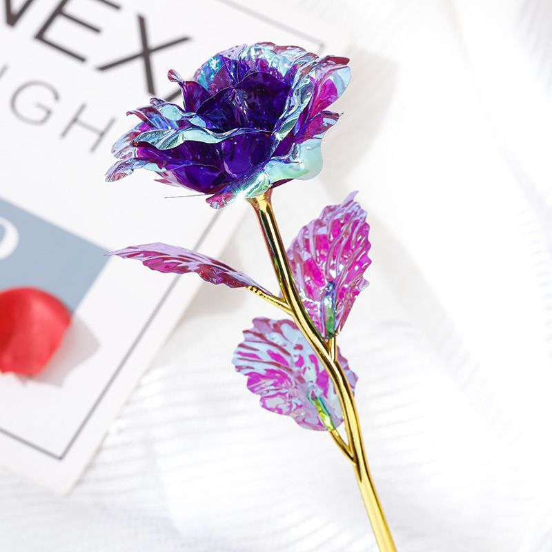 violet coloré