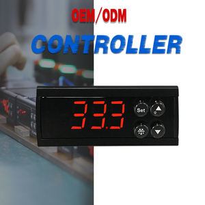 Termostato controlador de temperatura Digital 110V 12V Sensor impermeable Control de temperatura de refrigeración de calefacción