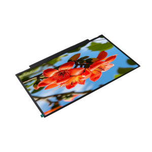 BOE promozione speciale personalizzabile da 13.3 pollici NV133FHM-N62 IPS modulo Display LCD Non Touch pannello TFT Notebook nuova sostituzione - Product Image 5