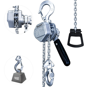 Hàng Châu Dele 250kg Kích thước nhỏ nhôm khối đòn bẩy <span class=keywords><strong>hoist</strong></span> của nhãn hiệu Palăng xích nâng máy - Product Image 2