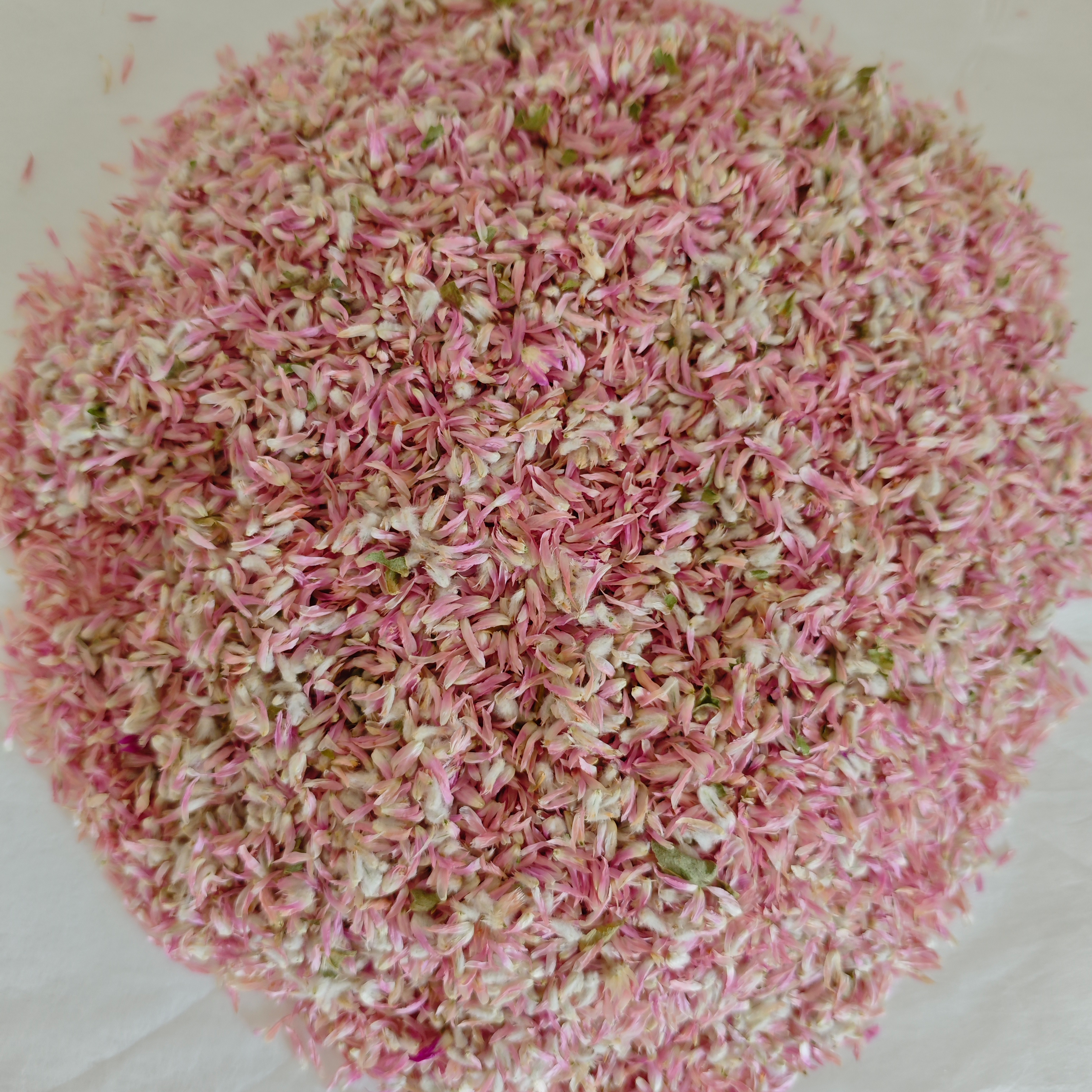 amarante globe rose