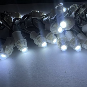 50個/ストリングピクセルLED 12V 9mm 12mmミニブラックライトLEDストリング良好な明るさ防水フレキシブルLEDライトストリング - Product Image 3