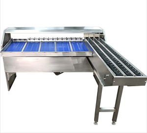 高效鸡蛋分选机鸡蛋大小重量分选机分类自动小型分级机分类 - Product Image 1