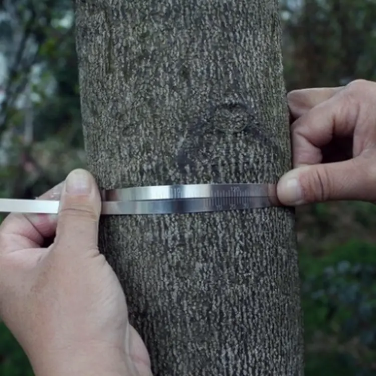 De acero inoxidable de la circunferencia de la regla para madera tubo de caucho mecánico de Medición de diámetro