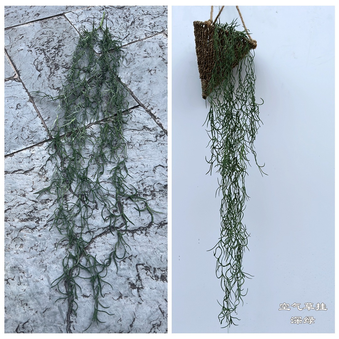 Hanging air grass dark green