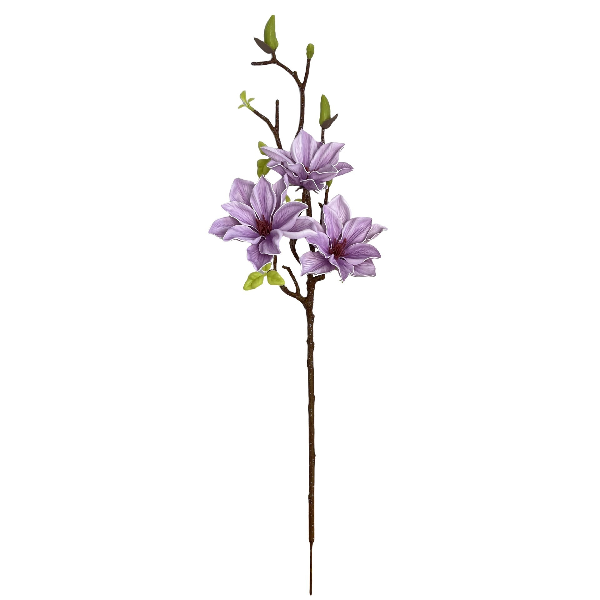 light purple