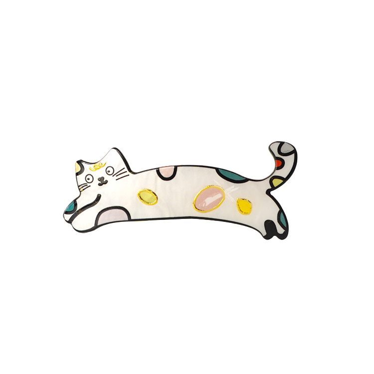 Colorful cat