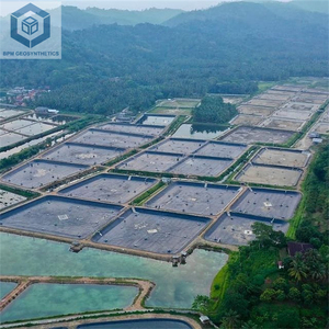 工厂价格20密耳高密度聚乙烯水产养殖池塘衬里0.5毫米厚度工业室外大坝衬里制成聚氯乙烯低密度聚乙烯 - Product Image 4