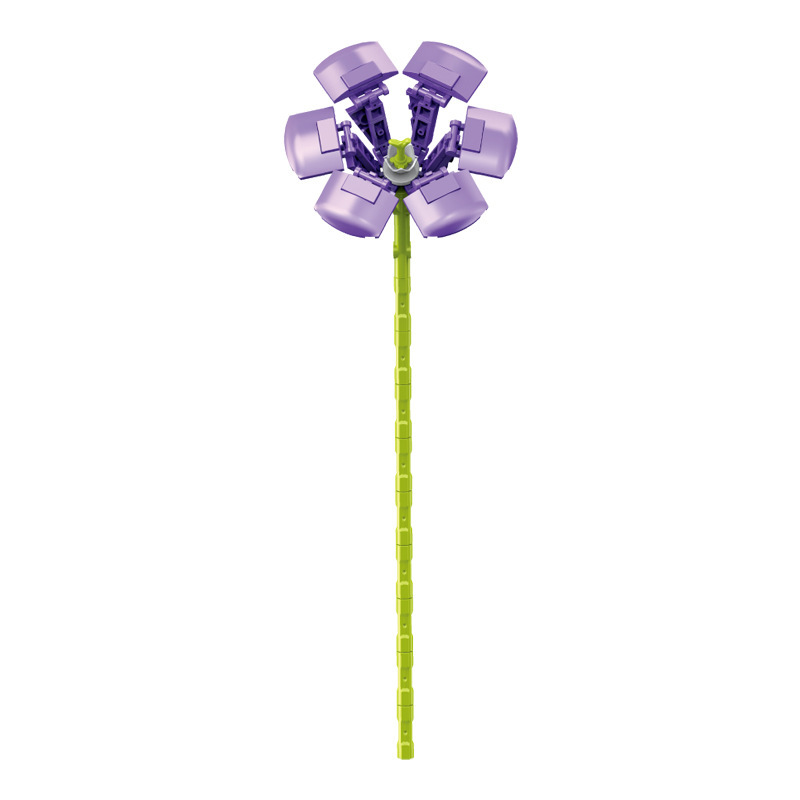 morning glory-087a-7