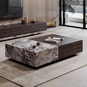Mesa Rectangular de Té de Piedra Sinterizada, Mesa de Centro de Almacenamiento de Madera Ahumada de Alta Gama, Sala de Estar Minimalista, ZEM809 - Product Image 1