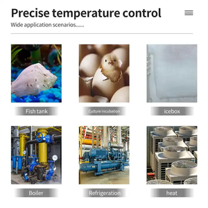 Termostato de controlador de temperatura de control de refrigeración de calefacción Digital de alta precisión de 12V CC con Sensor de 1/2" - Product Image 4