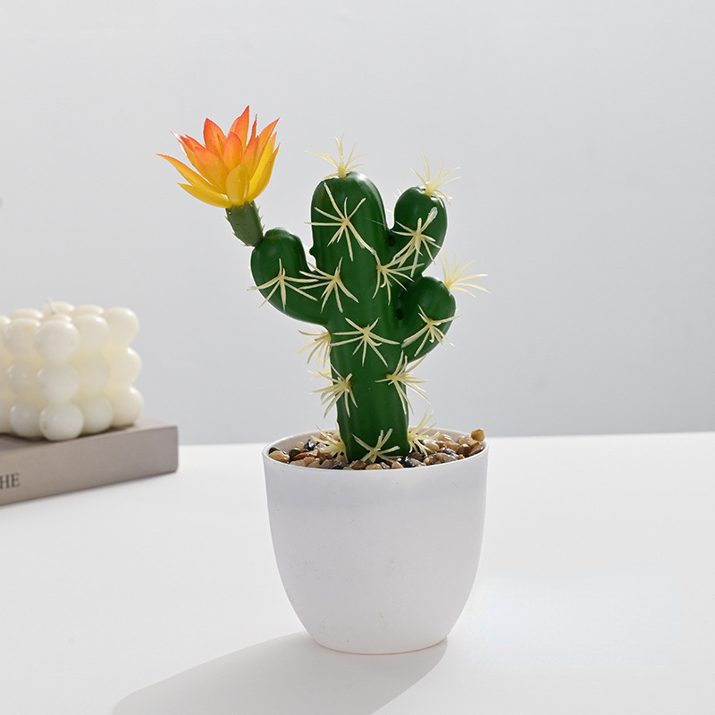 Small Bonsai (Plastic Basin)