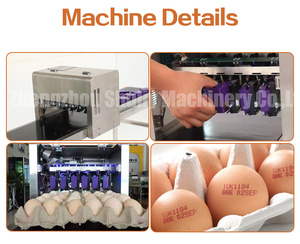 Automatic Capacitive Touch Screen Professional Egg Spray Inkjet Printer <strong>Coding</strong> Machine - Product Image 6
