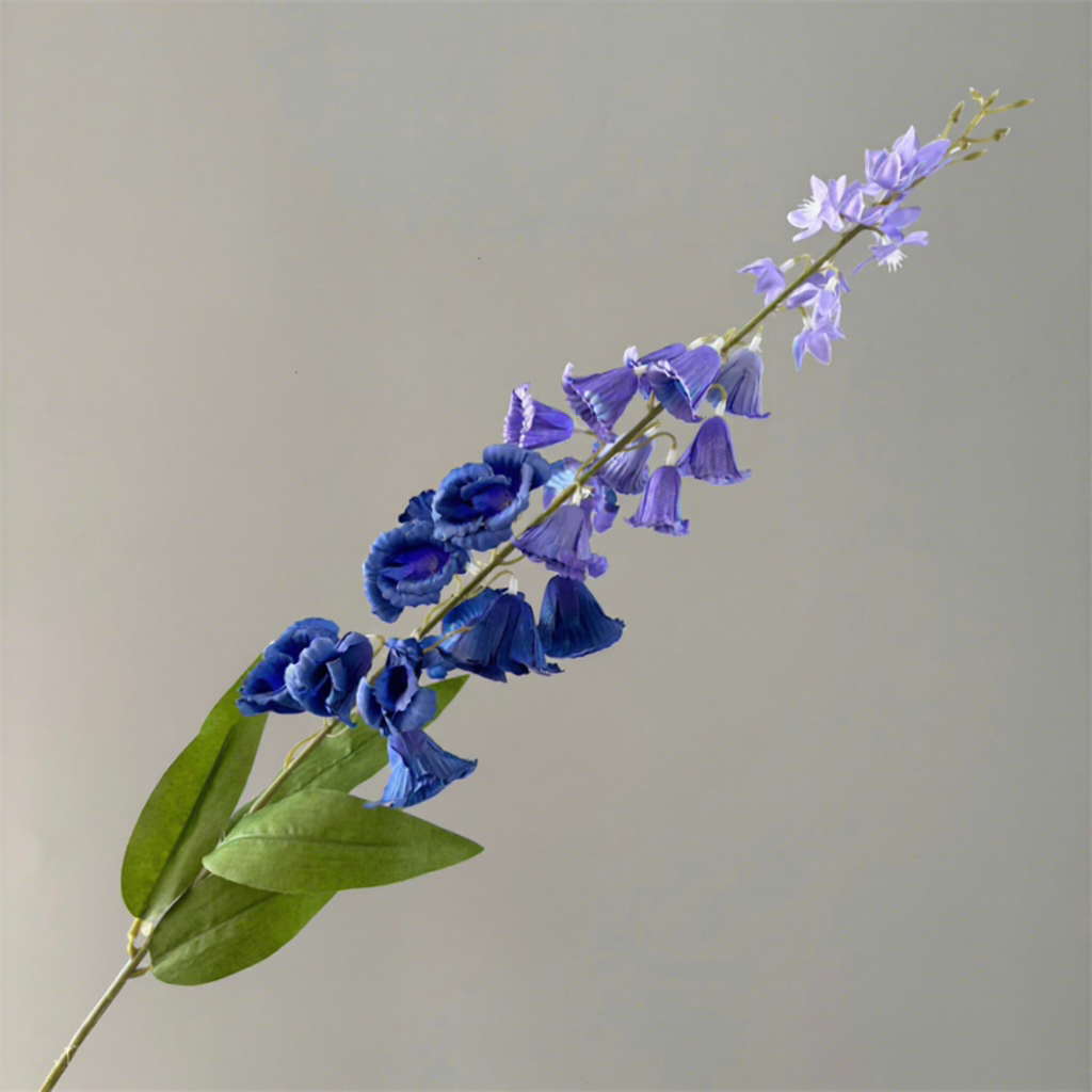 violet foncé