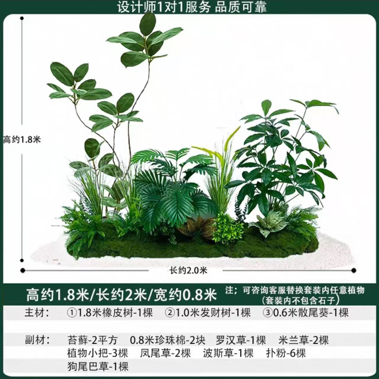 Schefflera octophylla 2mlong
