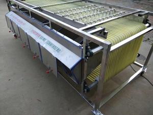 1000kg/h Cherry Tomato Sorter Tomato Grader <strong>Machine</strong> Tomato <strong>Red</strong> <strong>Dates</strong> <strong>Sorting</strong> <strong>Machine</strong> Fruit Grading <strong>Machine</strong> - Product Image 4