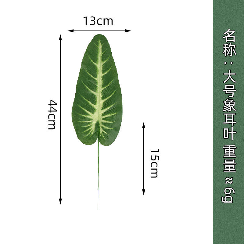 Large elephant leaf