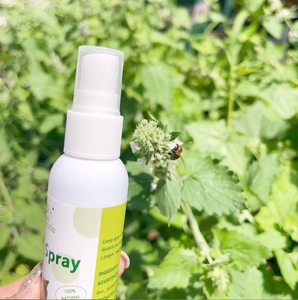 100% productos orgánicos naturales para juguetes para mascotas Catnip aceite esencial Catnip Spray - Product Image 5