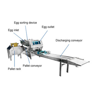 <strong>Automated</strong> Chicken Egg Pack <strong>Machine</strong> Egg Packer Egg <strong>Sorting</strong> and Pack <strong>Machine</strong> for Sale - Product Image 5