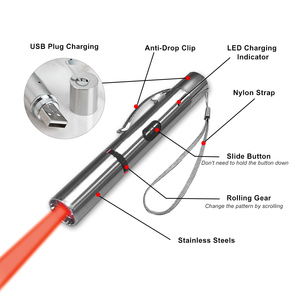 Kunden spezifisches Logo USB Direkt ladung Haustier Interaktives Bewegungs projekt Spielzeug 5 Beleuchtungs muster LED Cat Laser Pointer - Product Image 2