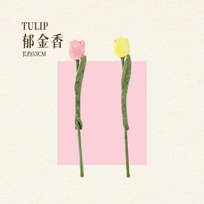 TULIP