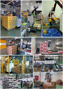 <strong>Robot</strong> Palletizer Manipulator <strong>Robots</strong> Arm Pick and Place Collaborative Palletizing <strong>System</strong> for Case Box Carton Bag Packing Delivery - Product Image 4