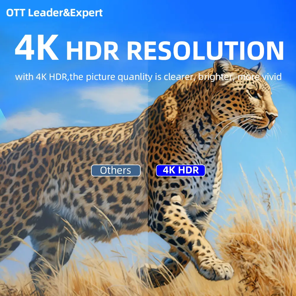 Dropshipping Holanda Android IP TV Box 24H Expedição 2024 Melhor 4K teste grátis vídeo Internet decodificador caixa de mídia doméstica