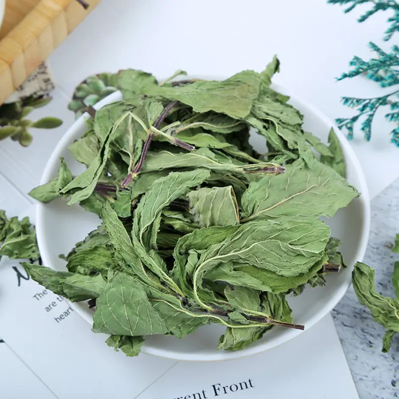 Qingchun yeşil kurutulmuş nane çayı