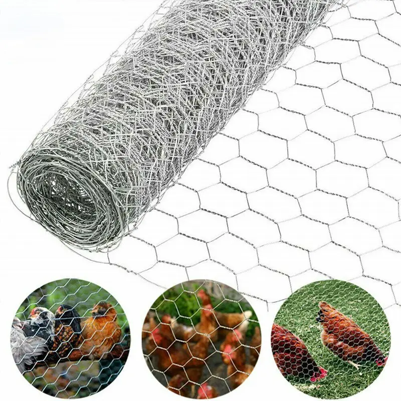 Tela hexagonal wire mesh para frango