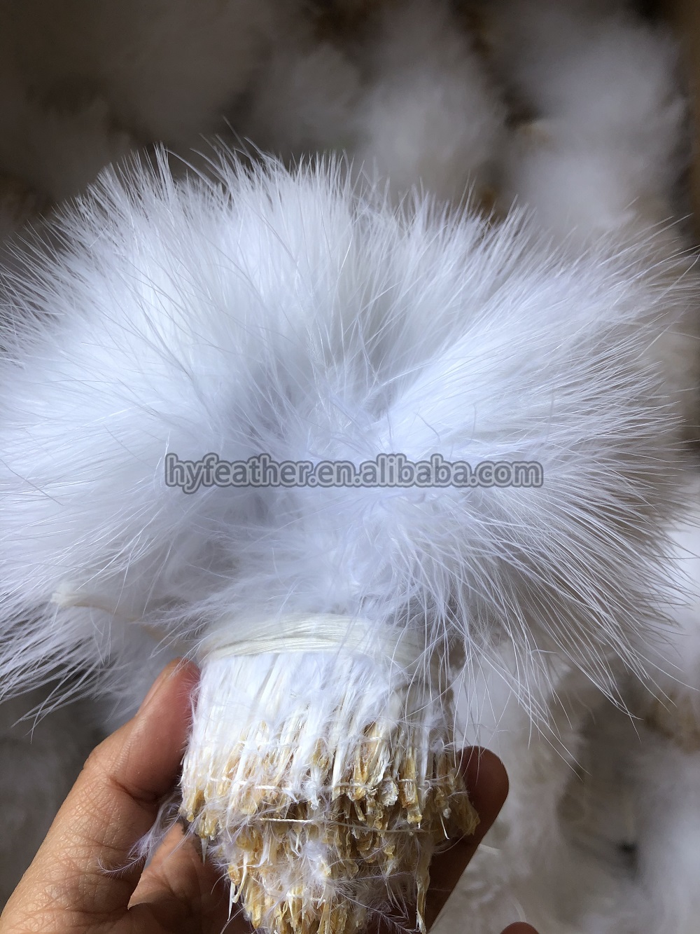 White MOQ;300g/color