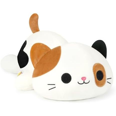 Calico Cat
