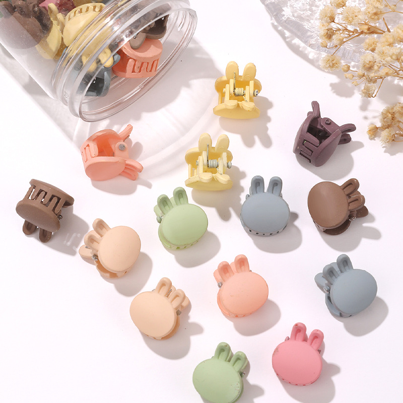 Modèle lapin : 50 pièces par boîte