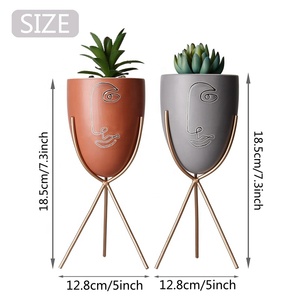 EAGLEGIFTS seti 2 seramik saksı vazo çiçek saksıları yetiştiricilerinin - Product Image 2