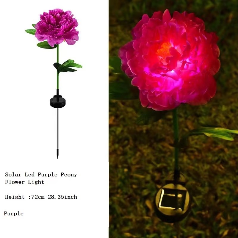 blanc chaud : 1 fleur de pivoine par lumière
