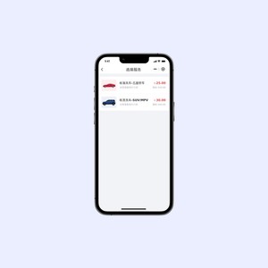 Portachiavi automatico e portachiavi per applicazioni Desktop sistema di autolavaggio porta a porta - Product Image 2