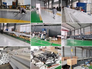 自動制御膜バイオガス消化膜タンク3kwバイオガスシステム廃棄物バイオガスプラント