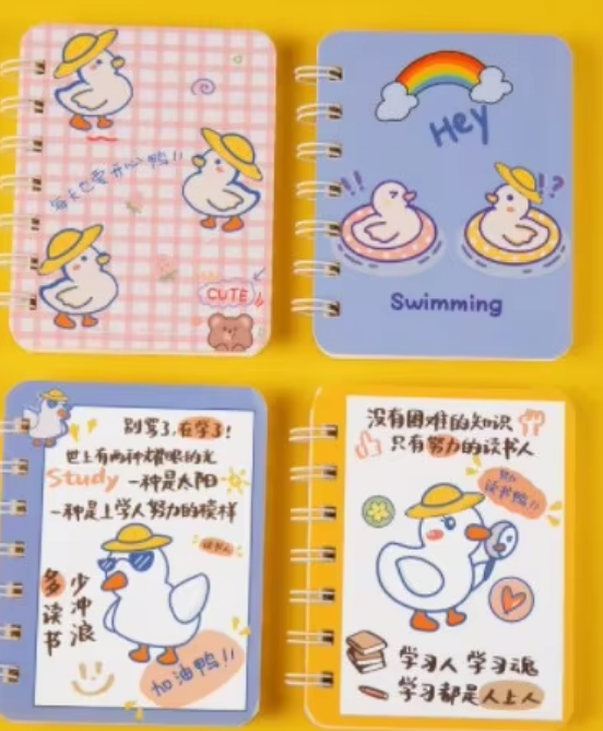 5131 go duck-a7 bobine cahier-prix du livre unique