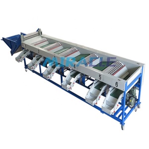 Máquina clasificadora rotativa de tambor automático, máquina clasificadora de clasificación de tamaño de ajo, máquina clasificadora de tamaño de ajo