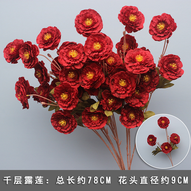 Thousand layer peony