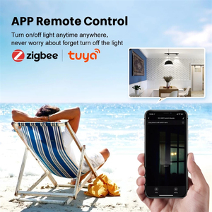 Tuya Zigbee4CHライトスイッチモジュールは音声制御をサポート - Product Image 5