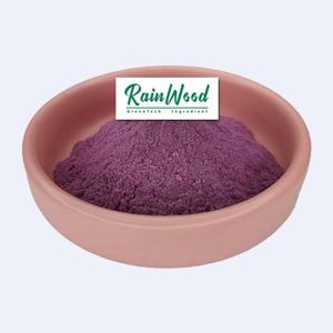 Poudre de framboise Rainwood Supply en gros 100% poudre de fruit de framboise biologique naturelle soluble dans l'eau - Product Image 6