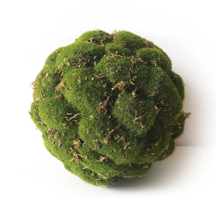 QSHLHP-948 Hot Sale Artificial Green Marimo Moss Ceiling Ball for Indoor Decor