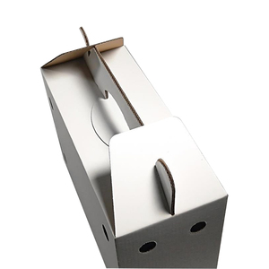 定制设计纸板活小鸡鸟运输箱日龄小鸡运输箱带手柄 - Product Image 5