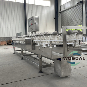 Máquina clasificadora de peso automática para frutas y verduras